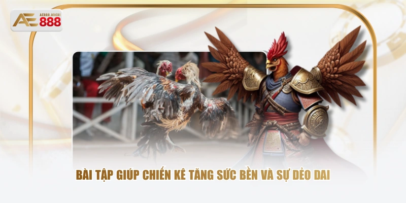 Bài tập giúp chiến kê tăng sức bền và sự dẻo dai 