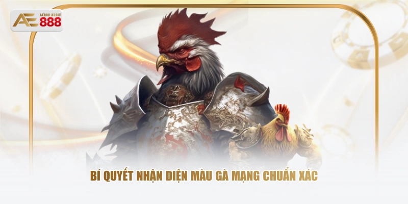 Bí quyết nhận diện màu gà mạng chuẩn xác