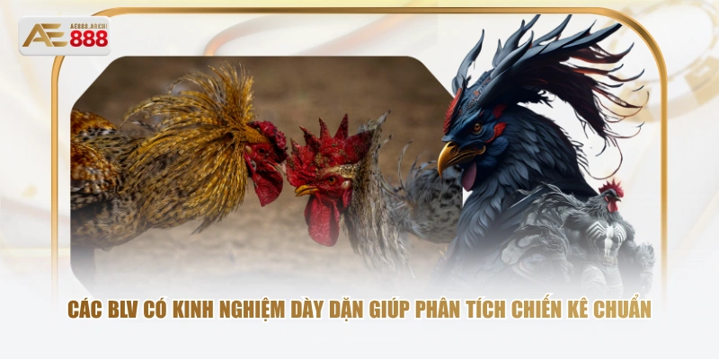 Các BLV có kinh nghiệm dày dặn giúp phân tích chiến kê chuẩn