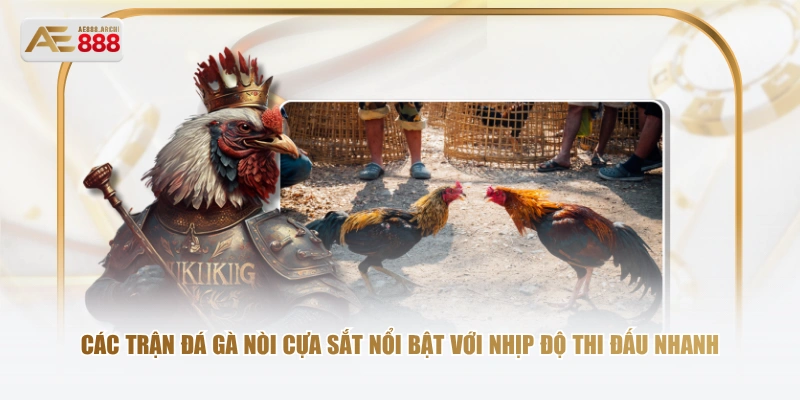 Các trận đá gà nòi cựa sắt nổi bật với nhịp độ thi đấu nhanh