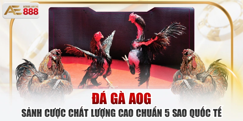 Đá Gà AOG - Sảnh Cược Chất Lượng Cao Chuẩn 5 Sao Quốc Tế