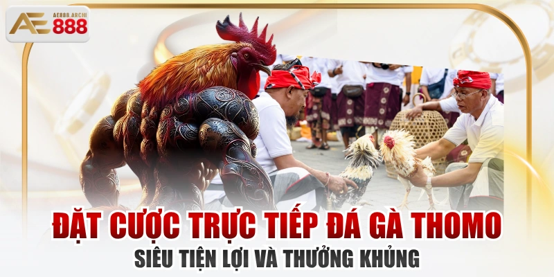 Đặt Cược Trực Tiếp Đá Gà Thomo Siêu Tiện Lợi Và Thưởng Khủng