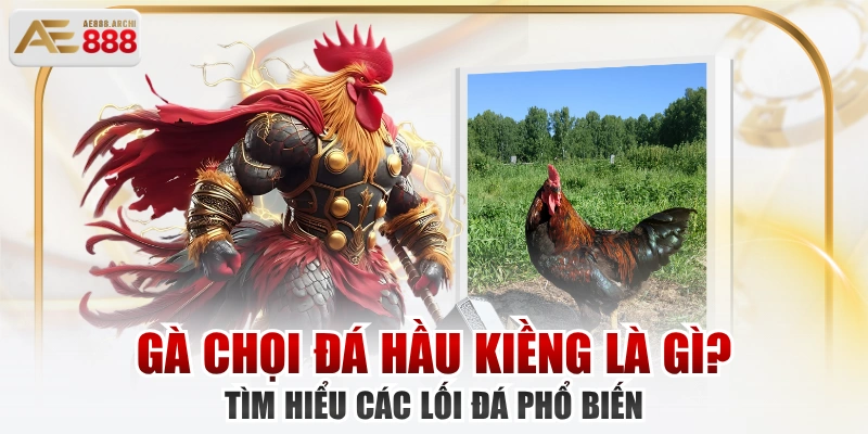 Gà Chọi Đá Hầu Kiềng Là Gì? Tìm Hiểu Các Lối Đá Phổ Biến 