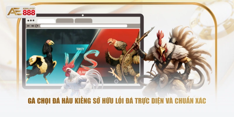 Gà chọi đá hầu kiềng sở hữu lối đá trực diện và chuẩn xác