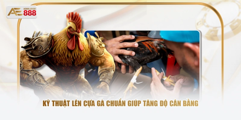 Kỹ thuật lên cựa gà chuẩn giúp tăng độ cân bằng 