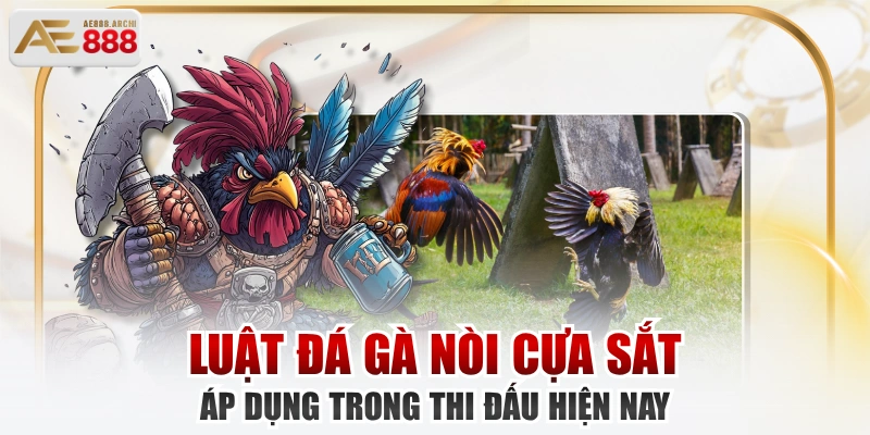 Luật Đá Gà Nòi Cựa Sắt Áp Dụng Trong Thi Đấu Hiện Nay 