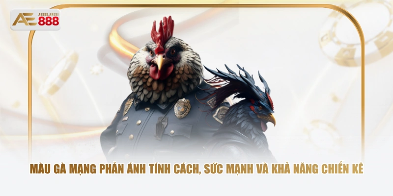 Màu gà mạng phản ánh tính cách, sức mạnh và khả năng chiến kê