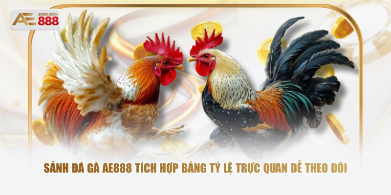 Sảnh đá gà AE888 tích hợp bảng tỷ lệ trực quan dễ theo dõi